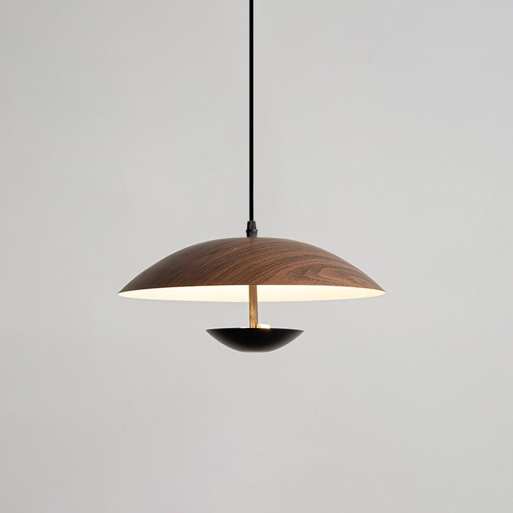 Frisbee Hanging light Pendant Lamp