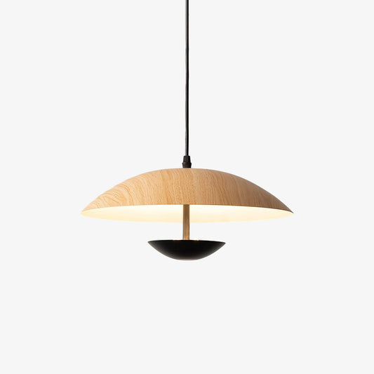 Frisbee Hanging light Pendant Lamp