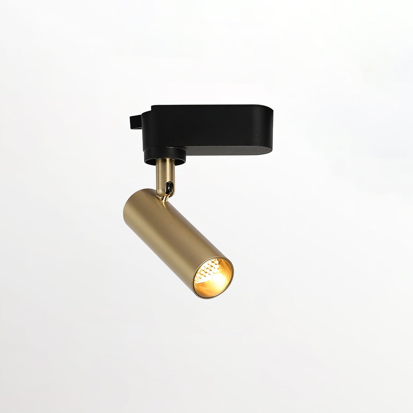 Gilded Rail Track Light