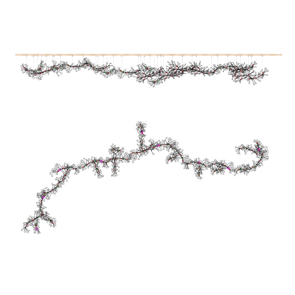 Gingko Candelabrum Chandelier E