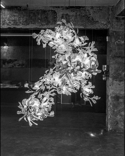 Gingko Crown Chandelier F