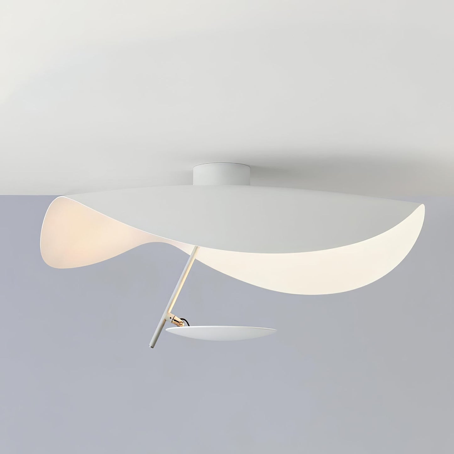 Giorgio Ceiling light Ceiling Light