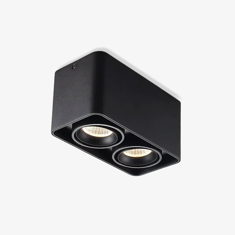 Giyan Overhead fixture Spotlight