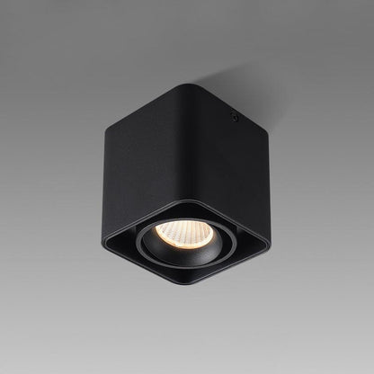 Giyan Overhead fixture Spotlight