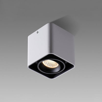 Giyan Overhead fixture Spotlight