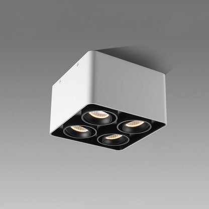 Giyan Overhead fixture Spotlight