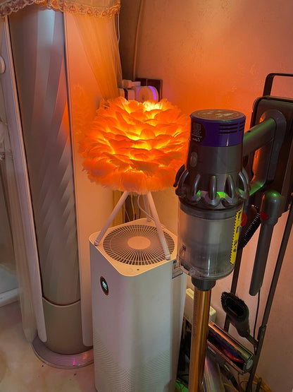Goose Feather Portable lamp Table Lamp