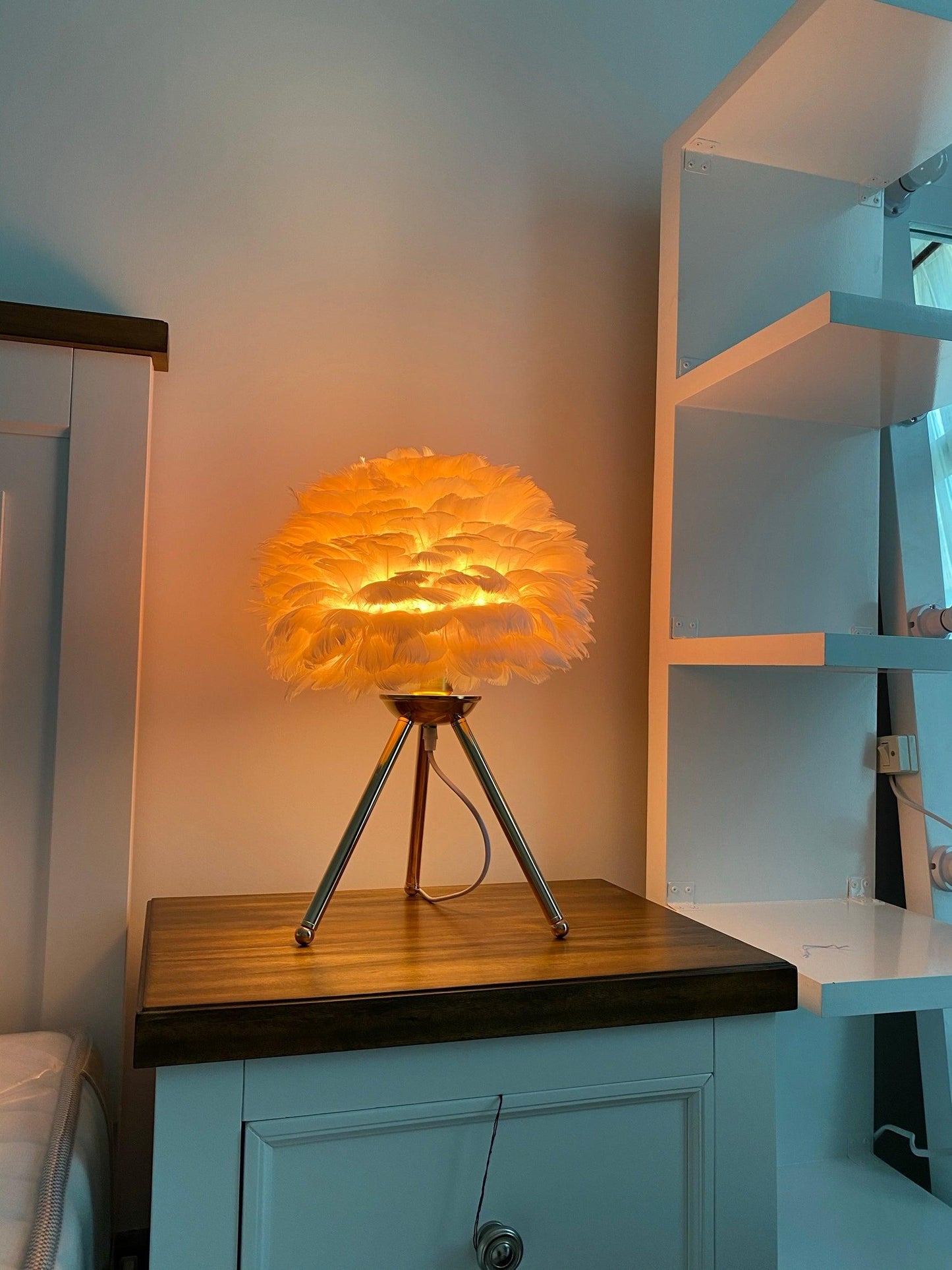 Goose Feather Portable lamp Table Lamp