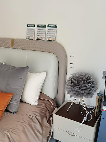 Goose Feather Portable lamp Table Lamp