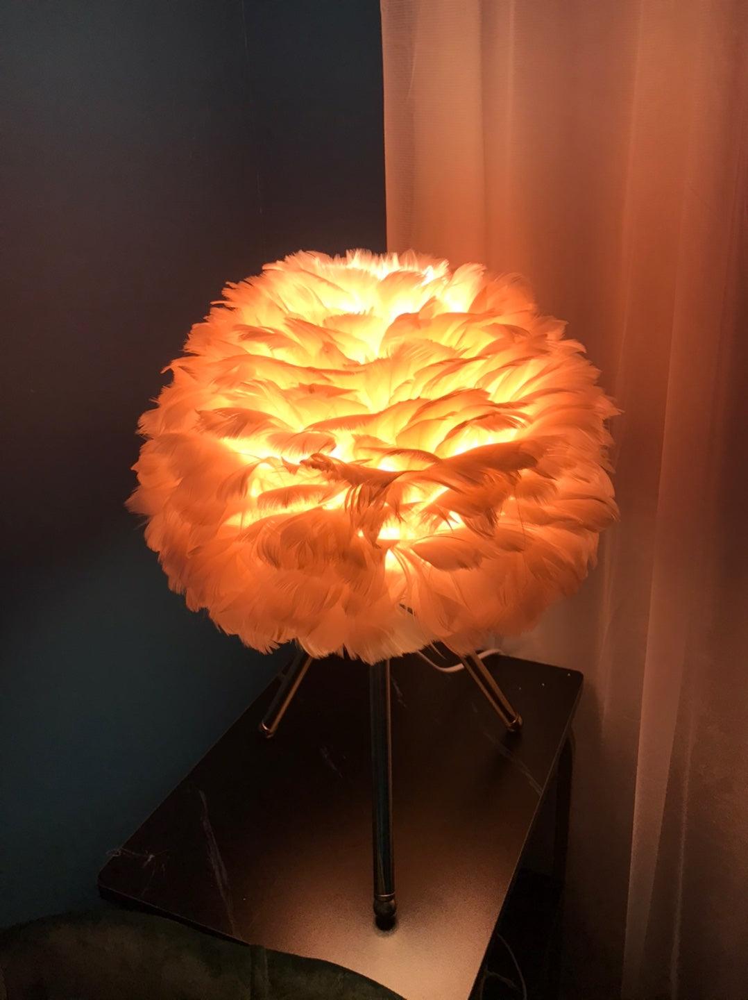 Goose Feather Portable lamp Table Lamp