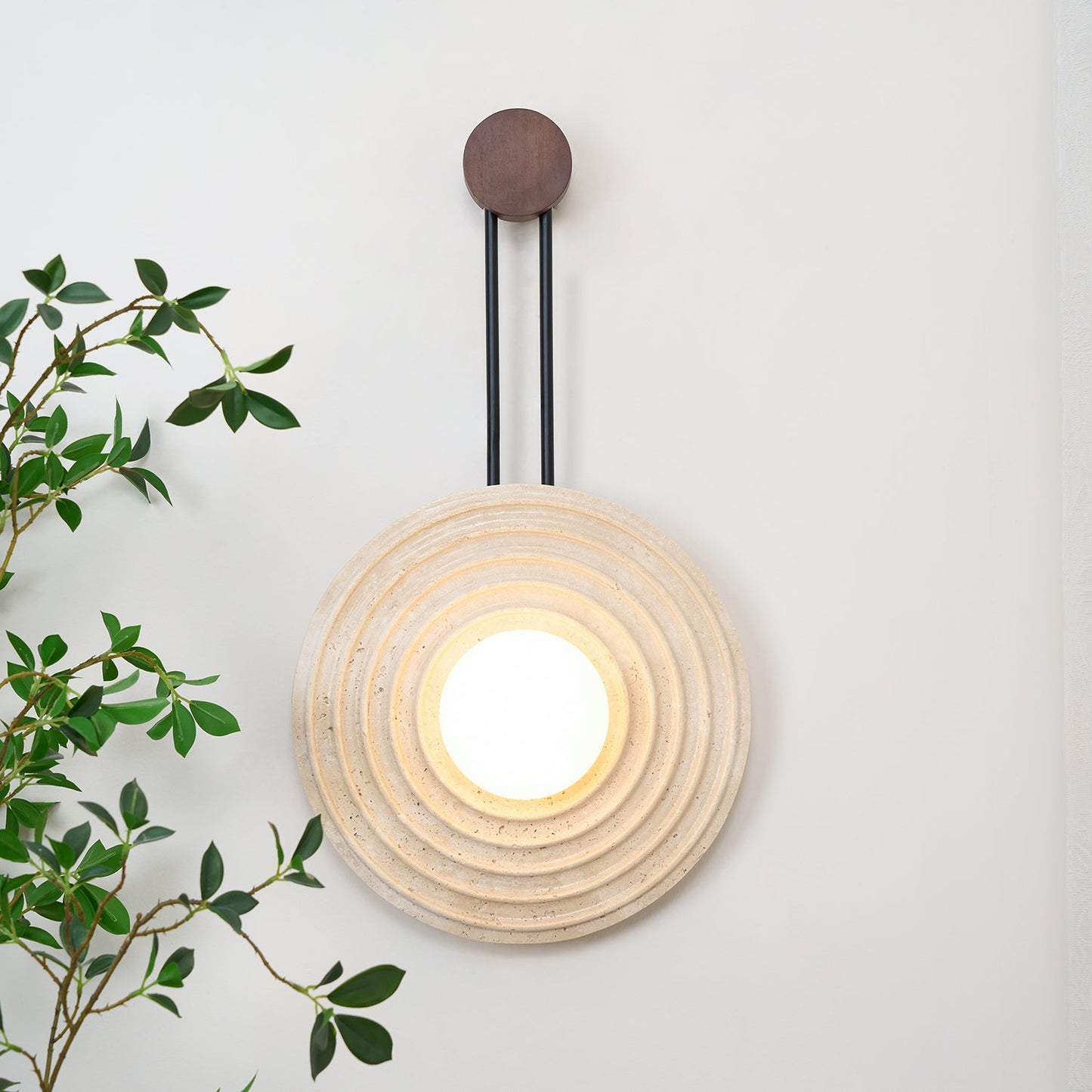 Growth Ring Wall light Wall Lamp