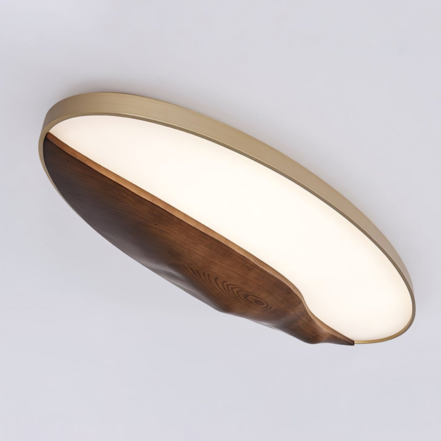 Half-Mountain Ceiling fixture Ceiling Lamp