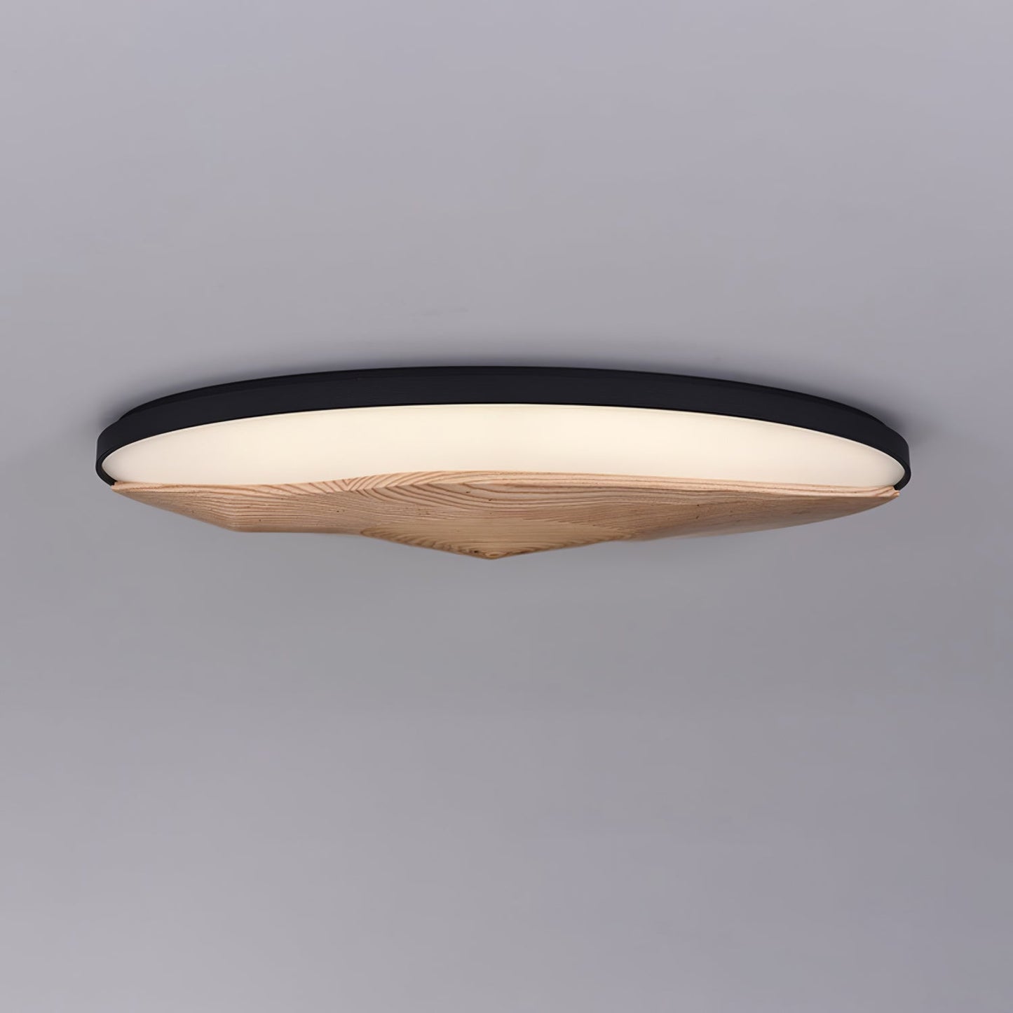 Half-Mountain Ceiling fixture Ceiling Lamp