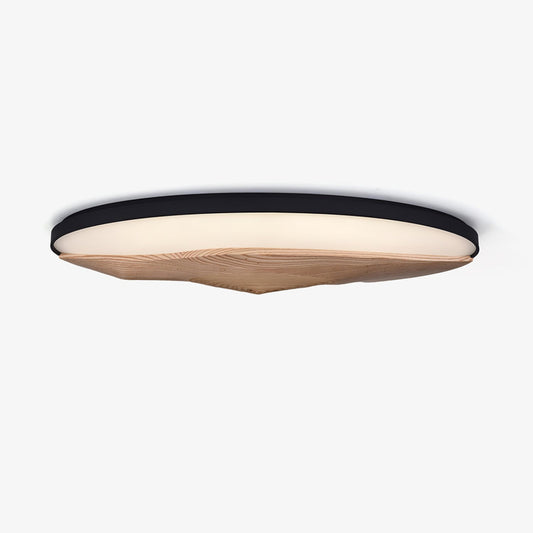 Half-Mountain Ceiling fixture Ceiling Lamp