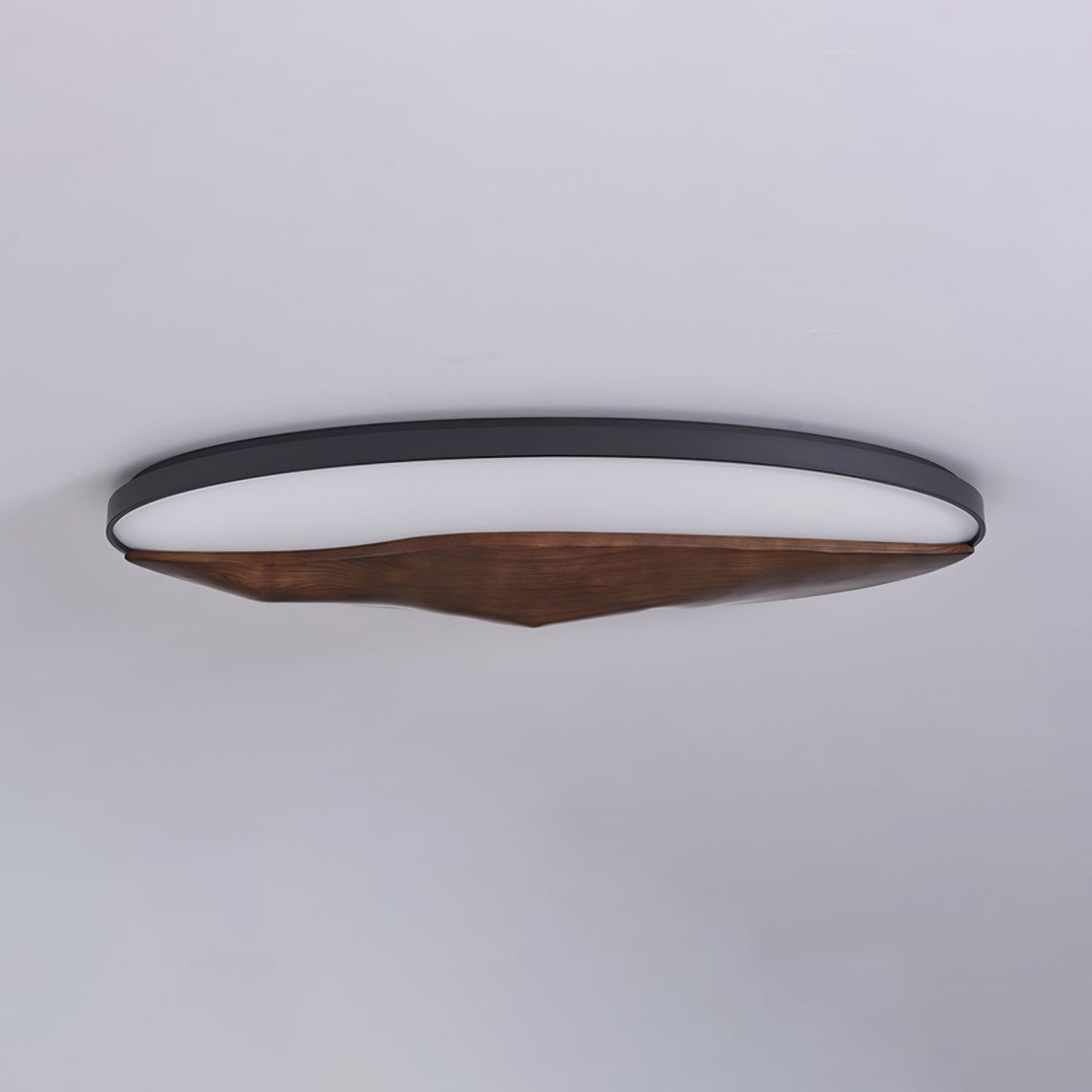 Half-Mountain Ceiling fixture Ceiling Lamp