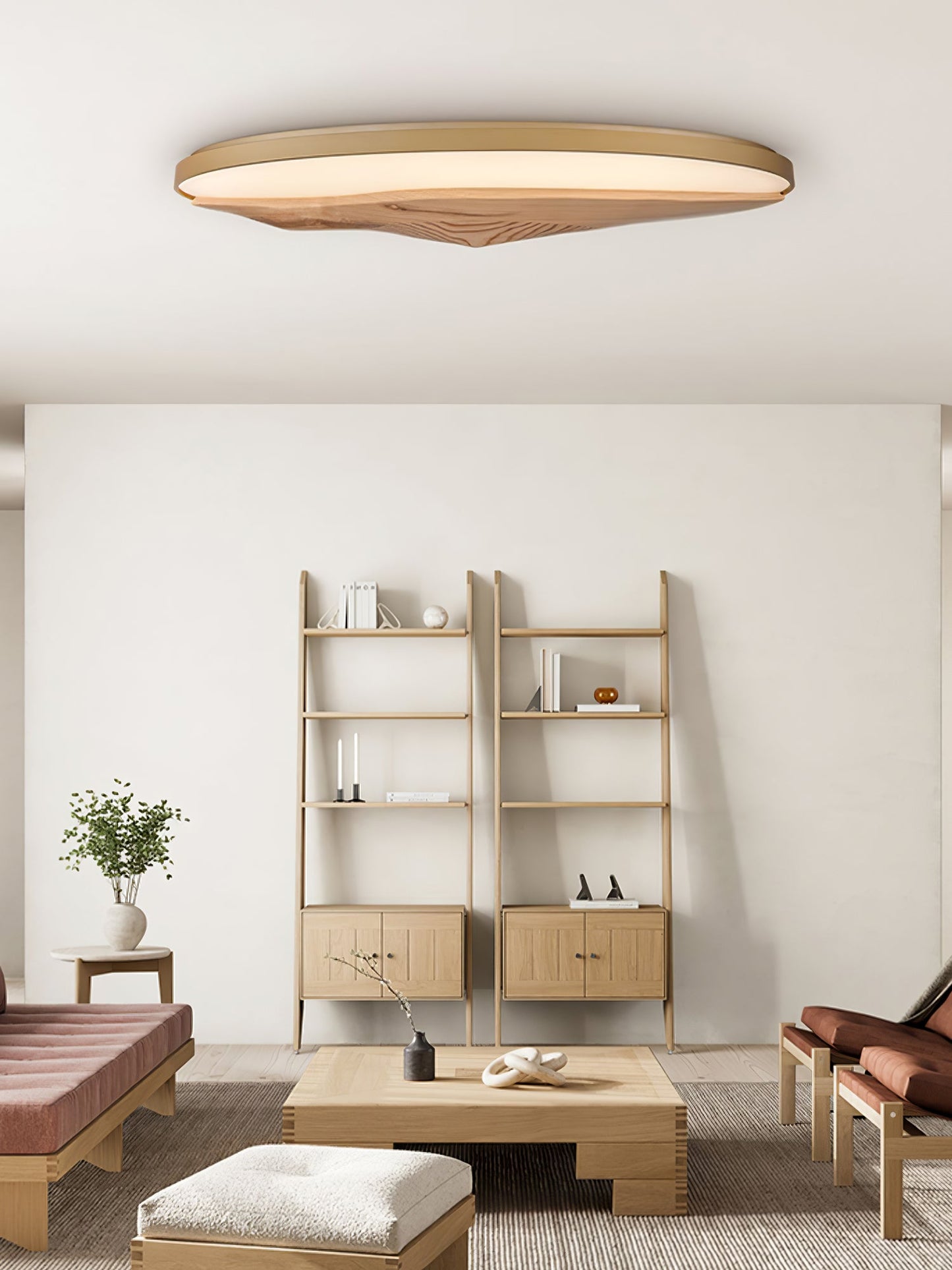 Half-Mountain Ceiling fixture Ceiling Lamp