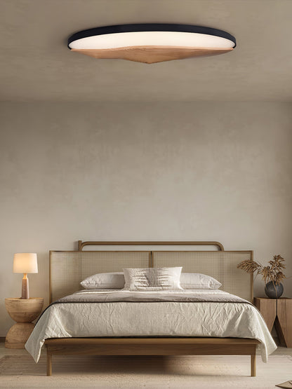 Half-Mountain Ceiling fixture Ceiling Lamp