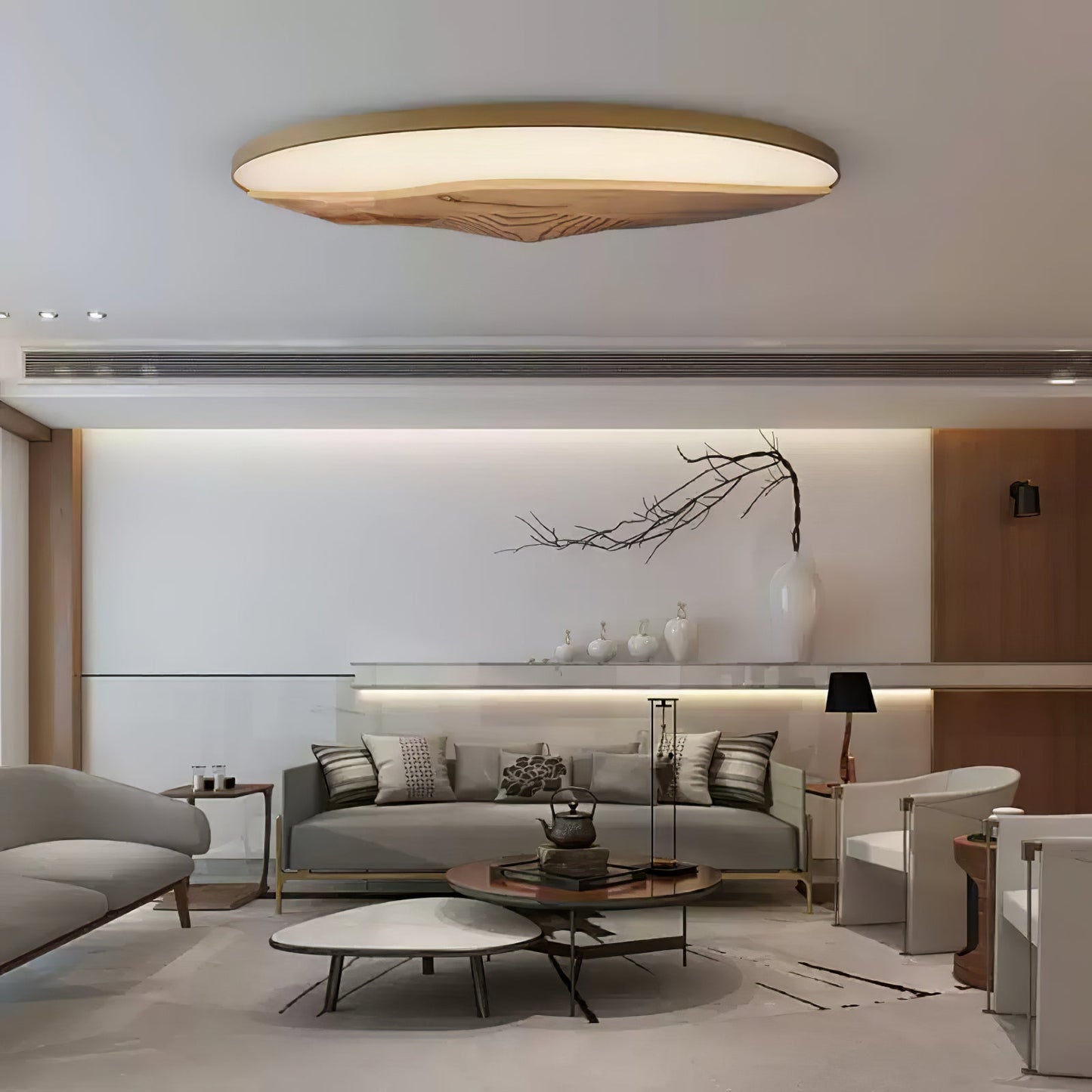 Half-Mountain Ceiling fixture Ceiling Lamp