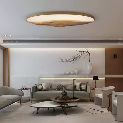 Half-Mountain Ceiling fixture Ceiling Lamp