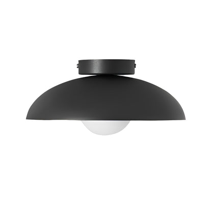 Harper Glass Dome Overhead fixture Ceiling Lamp