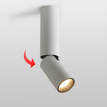 Julian Adjustable Surface Downlight