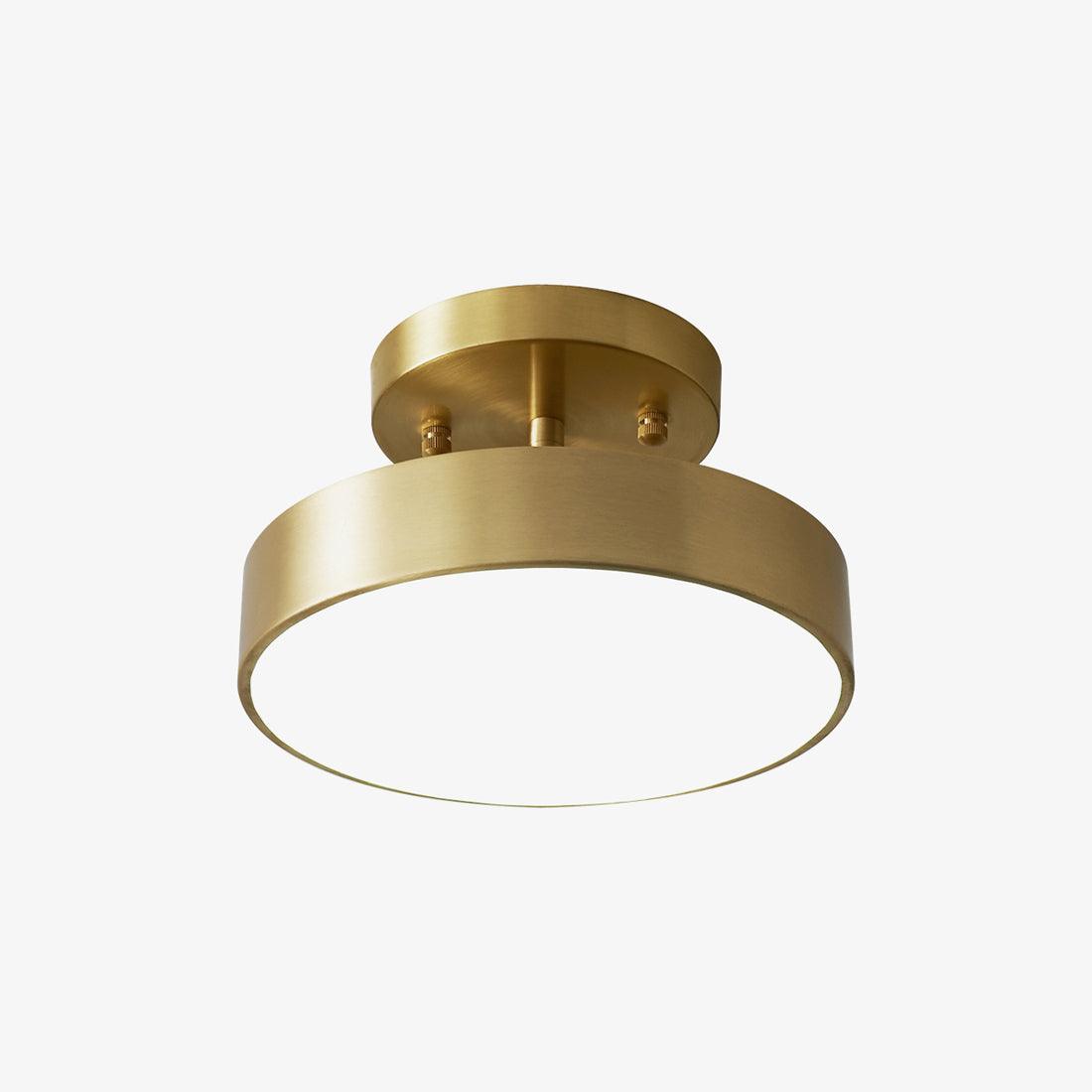 Hero Rotating Overhead light Ceiling Lamp