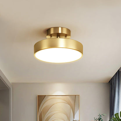 Hero Rotating Overhead light Ceiling Lamp