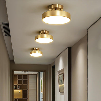 Hero Rotating Overhead light Ceiling Lamp