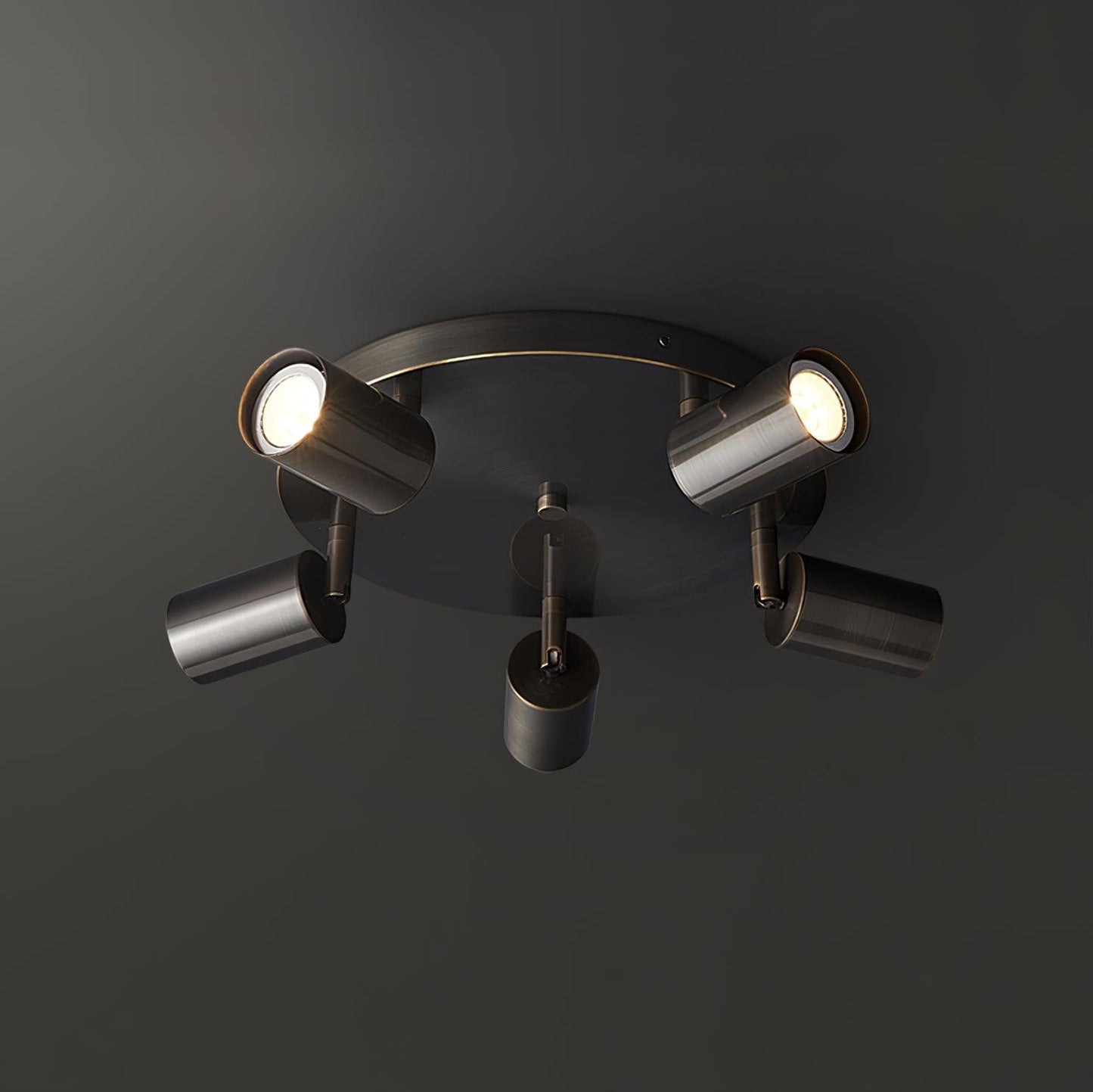 Hugo Hotspot Overhead light Ceiling Light