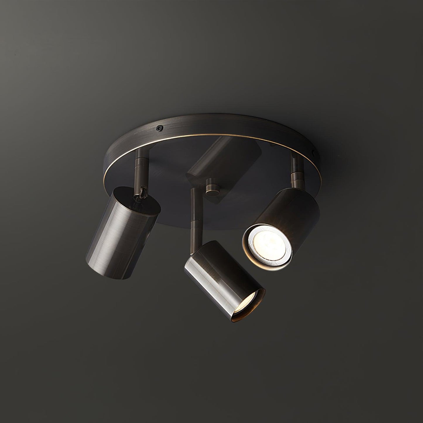 Hugo Hotspot Overhead light Ceiling Light