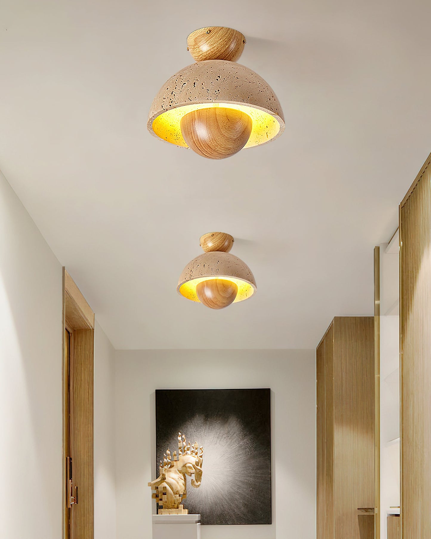 Inverted Ceiling light Ceiling Lamp