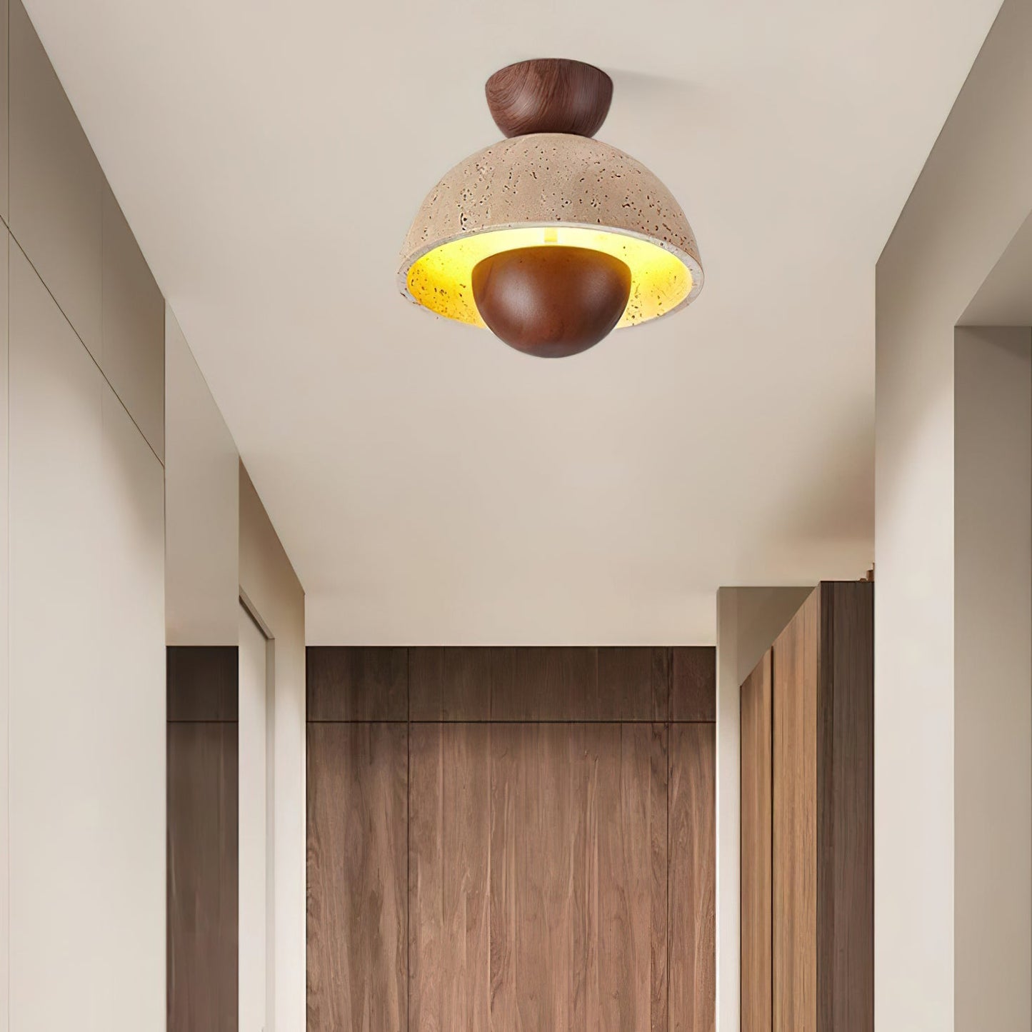 Inverted Ceiling light Ceiling Lamp