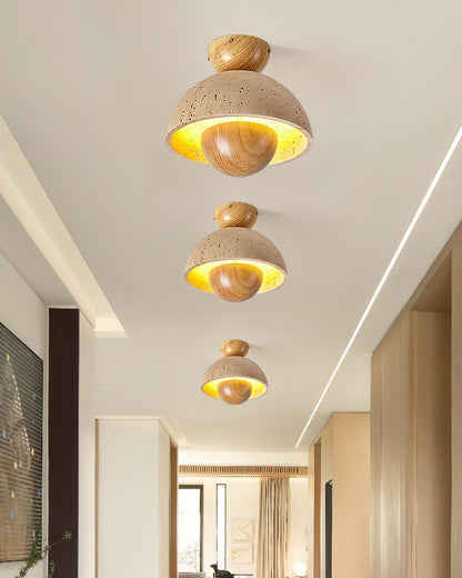 Inverted Ceiling light Ceiling Lamp