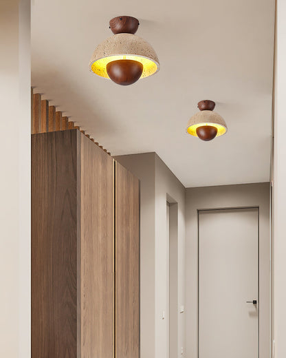 Inverted Ceiling light Ceiling Lamp