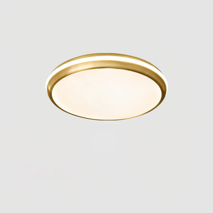 Jameson Overhead light Ceiling Light