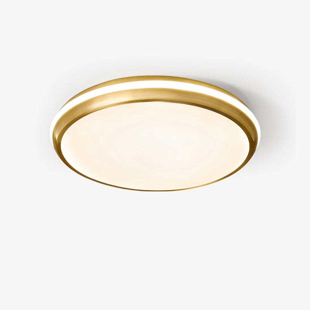 Jameson Overhead light Ceiling Light