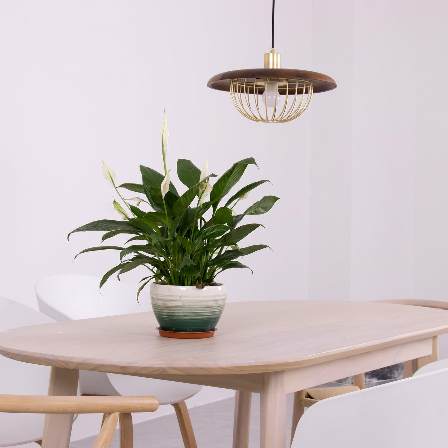 Kasa Pendant Lamp