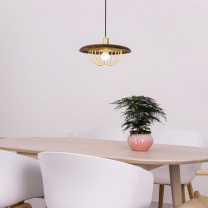 Kasa Pendant Lamp