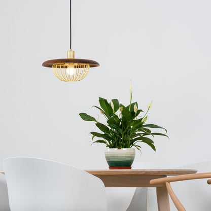 Kasa Pendant Lamp