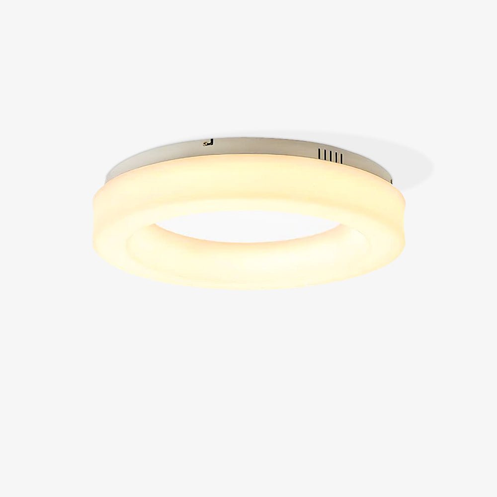 Knock Out Flush mount light Ceiling Light