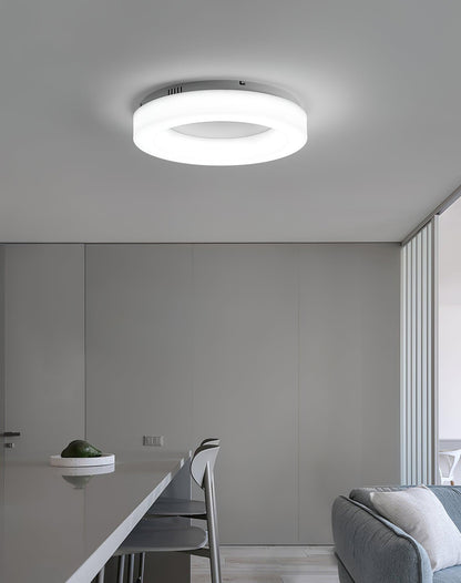 Knock Out Flush mount light Ceiling Light