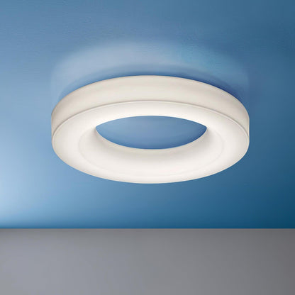 Knock Out Flush mount light Ceiling Light