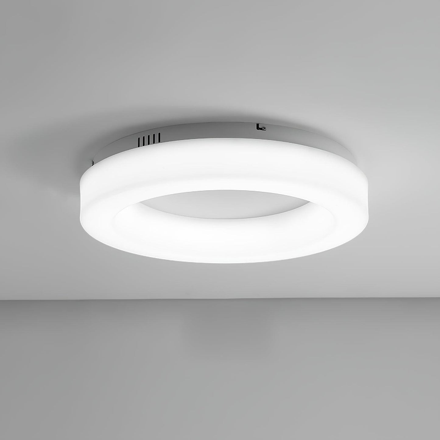 Knock Out Flush mount light Ceiling Light