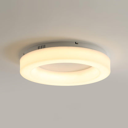 Knock Out Flush mount light Ceiling Light