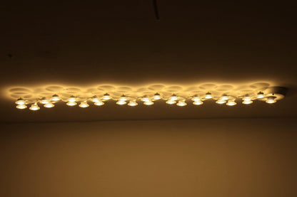 LED Net Overhead fixture Ceiling Lamp