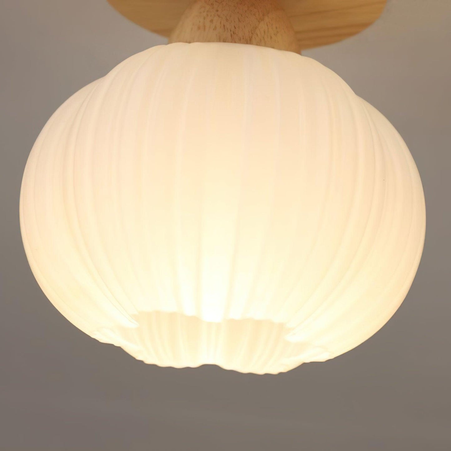 Large Flower Bag Flush mount light Ceiling Lamp