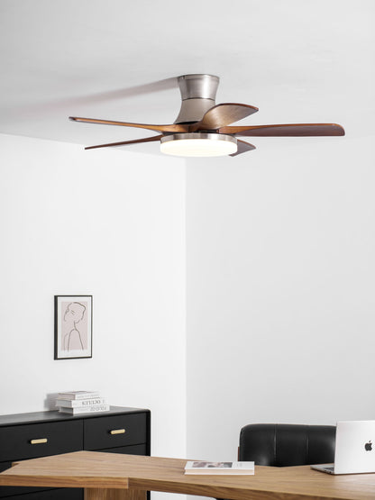 Liam Ceiling Fan Light