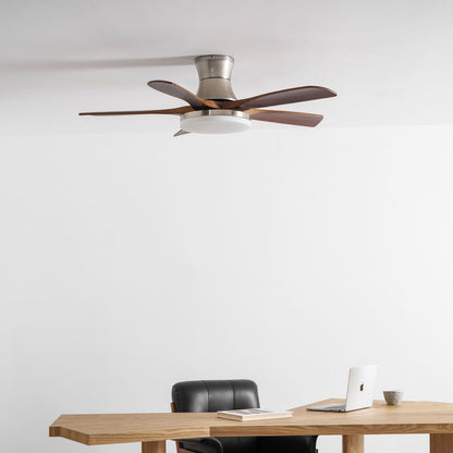 Liam Ceiling Fan Light