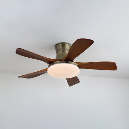 Liam Ceiling Fan Light