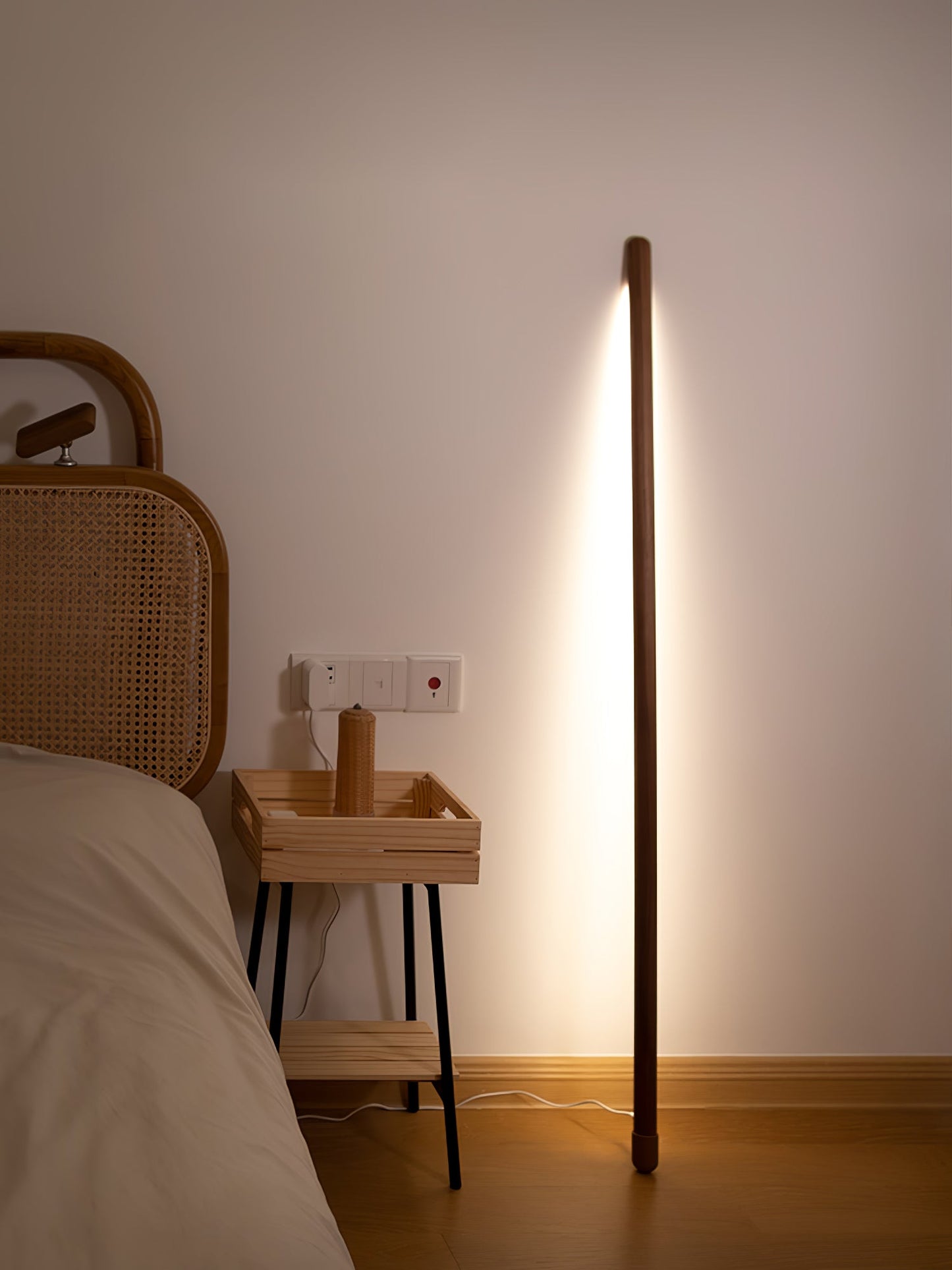 Line Assist Ambience Floor Lamp